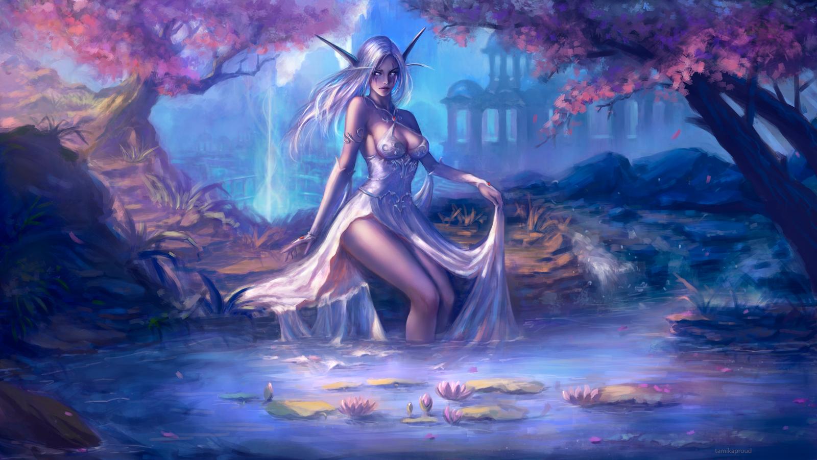 Elfi della notte
