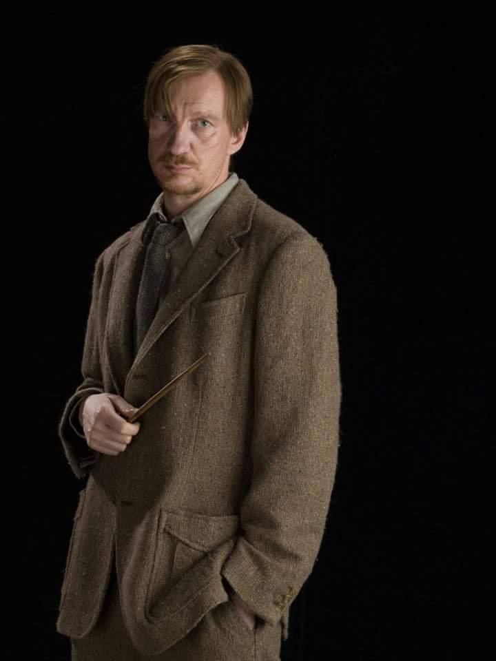 Il Professor Darius Lupin